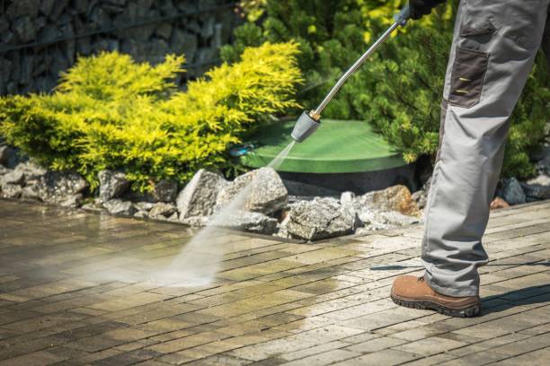 Animal Enclosure Cleaning in Leola, PA