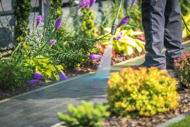 Best Gutter Cleaning  in Leola, PA